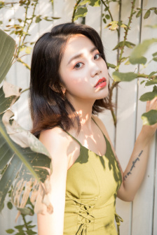铁拳血之复仇